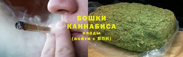 ПСИЛОЦИБИНОВЫЕ ГРИБЫ Балахна
