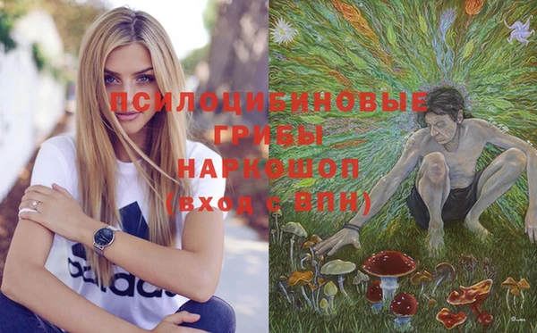 дмт Баксан