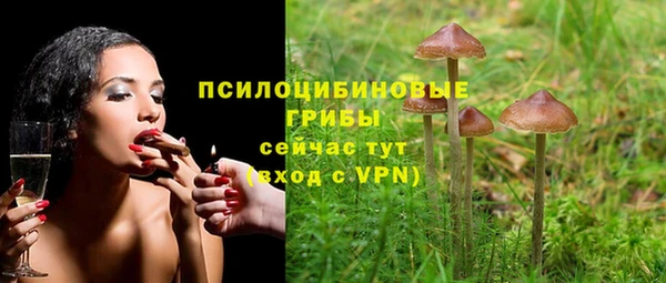 дмт Баксан