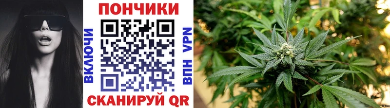 купить наркоту  MEGA ссылки  Конопля Bruce Banner  Коряжма 